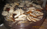 Как сушить белые грибы: способы сушки в домашних условиях, пошаговая инструкция