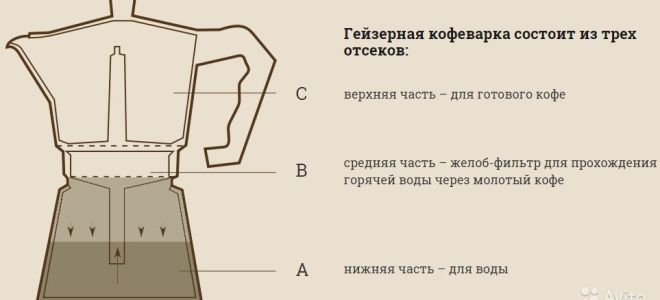 Драцена: уход за комнатным растением в домашних условиях, особенности пересадки и размножения