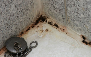 Как избавиться от плесени в ванной комнате: причины появления грибка на кафеле, народные и химические средства