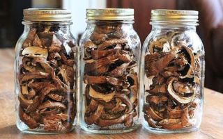 Хранение сушёных грибов в домашних условиях: как и в чём хранить, срок годности продукта