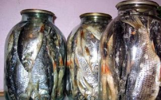 Как хранить вяленую рыбу в домашних условиях: 4 основных способа сохранить любимый деликатес на долгий срок