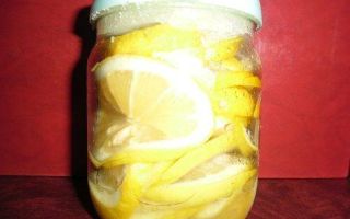 Как хранить свежие лимоны в домашних условиях на долгий срок: выбор плода, лучшие рецепты