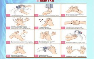 Как правильно мыть руки перед едой: основные правила и нюансы для детей, работников медицины и общепита