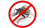 Как избавиться от мух в загородном доме, квартире и офисе: борьба с насекомыми, эффективные средства