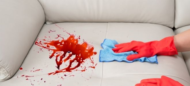 Как можно быстро отмыть и вывести пятно крови с дивана из кожи, замши или ткани