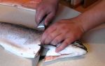 Как правильно разделать форель: почистить, потрошить и разделать на филе рыбу
