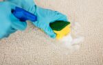Как почистить ковер в домашних условиях: выбор моющих средств и особенности чистки шерстяных ковров