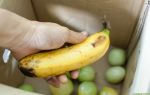 Как лучше хранить бананы: созревание в домашних условиях, где ускорить процесс дозревания