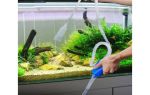 Чистка аквариума в домашних условиях: использование сифона, удаление известкового налета, уход за растениями