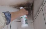Плесень в ванной на потолке: как избавиться от грибка в квартире, чем обработать стены в ванной